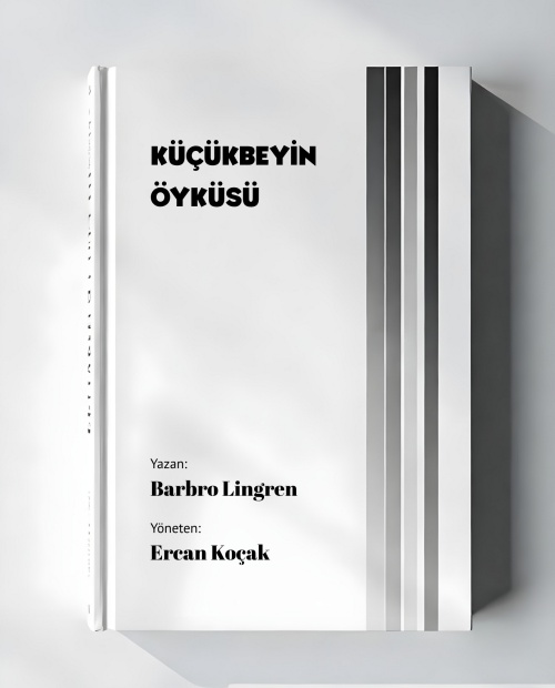 Küçükbeyin Öyküsü